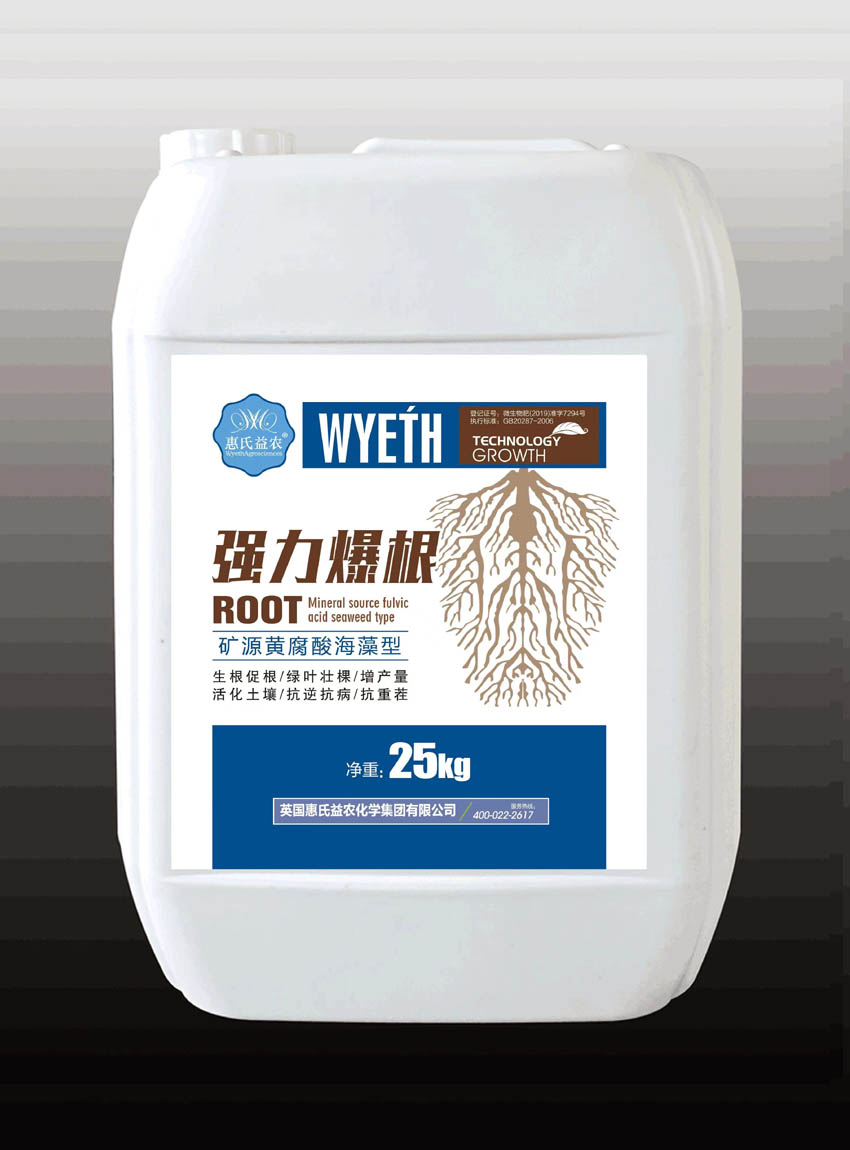 強力爆根