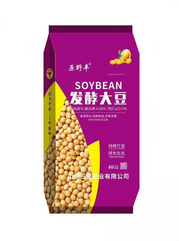 發酵大豆