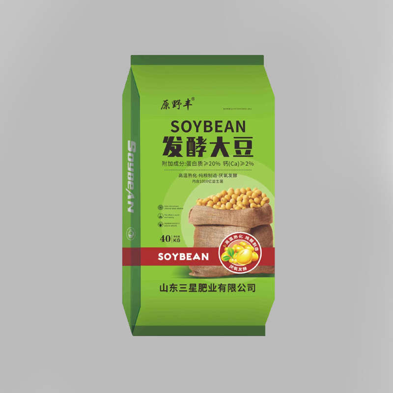 發酵大豆